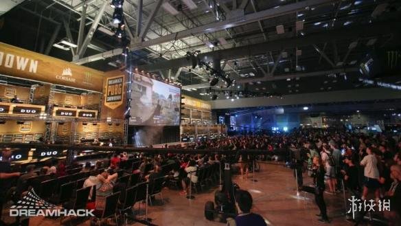 八强的肖国 八强的肖国