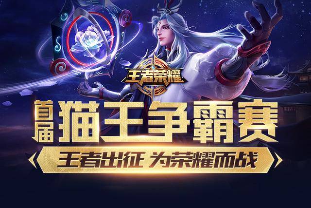 案例分析
